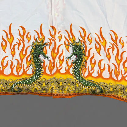 Twin fire dragons